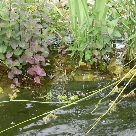 Hotel7continents Neutraubling