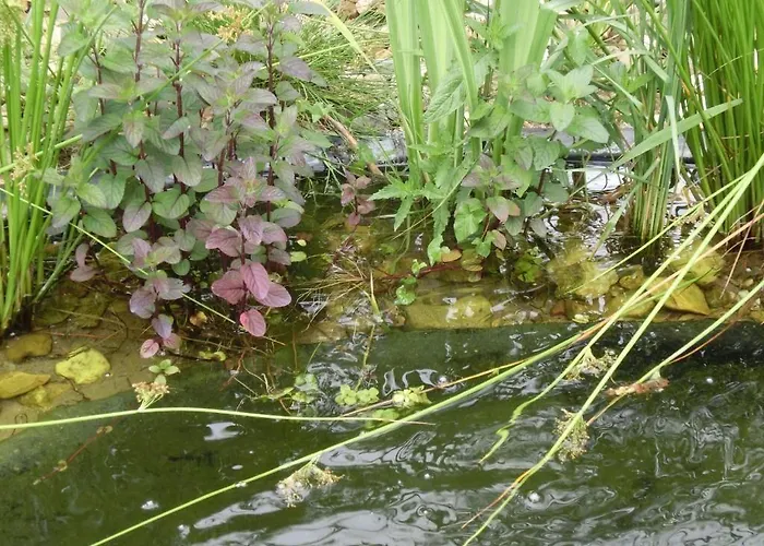 Hotel7continents Neutraubling